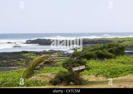 Camping site on the Punalu`u Beach - Black Sand beach - Big Island, Hawaii Stock Photo